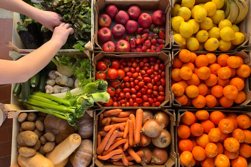 How to choose which fruits and vegetables to buy organic vs. non-organic -  ABC News