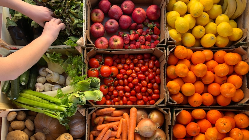 A picture from above of boxes of fruit and vegetables, with someone’s hands picking some lettuce 