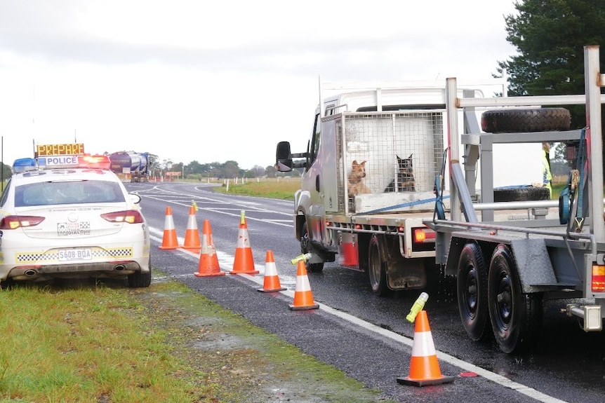 A truck at a police checkpont.