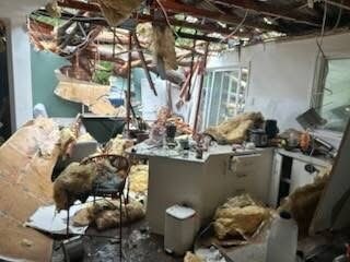 A lucky escape after a tree tore through the roof - ABC listen