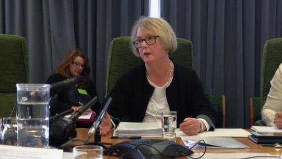 Diane Merryfull, Integrity Commission CEO