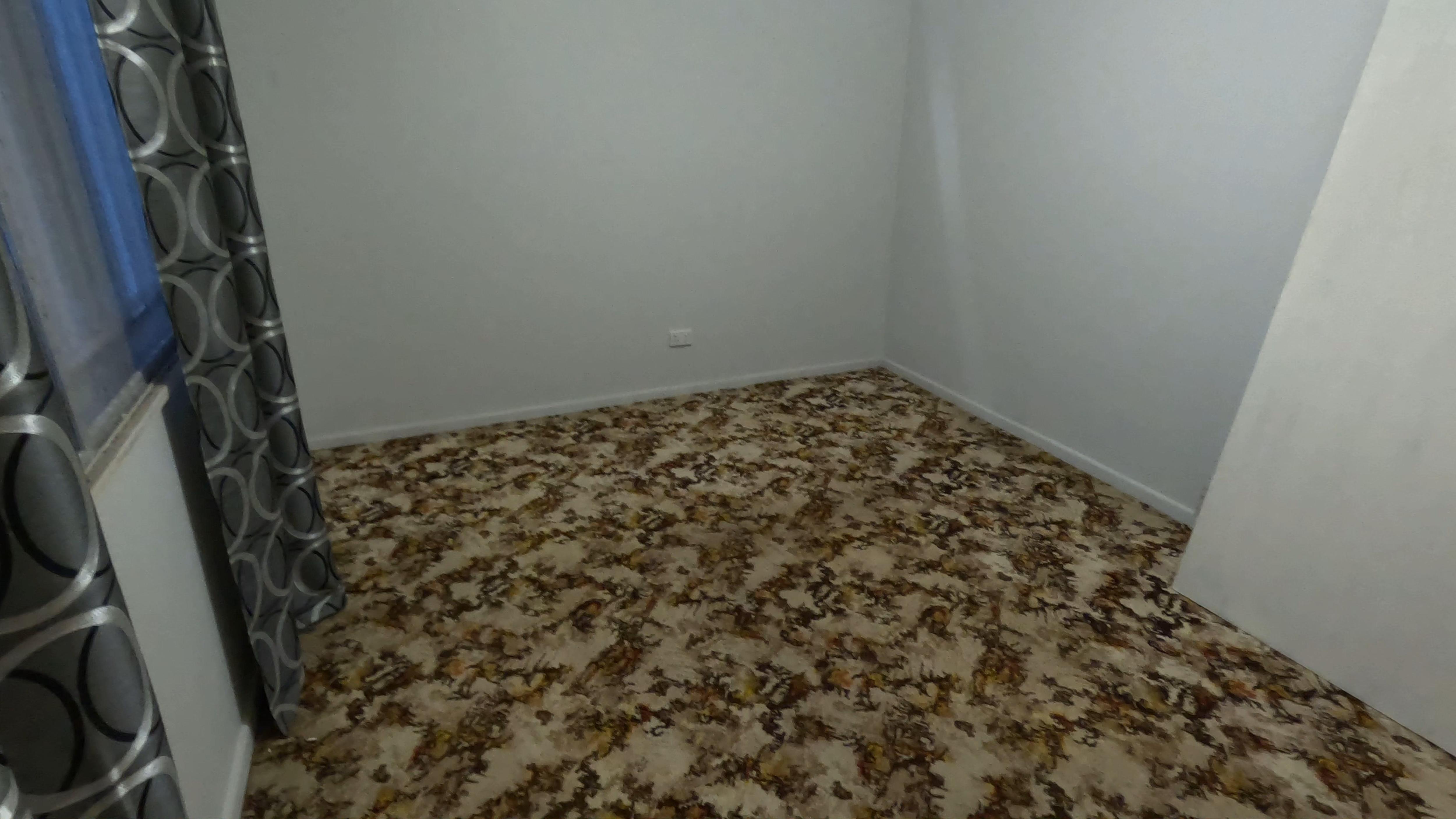 A wide shot of a brown shag carpet in an empty room