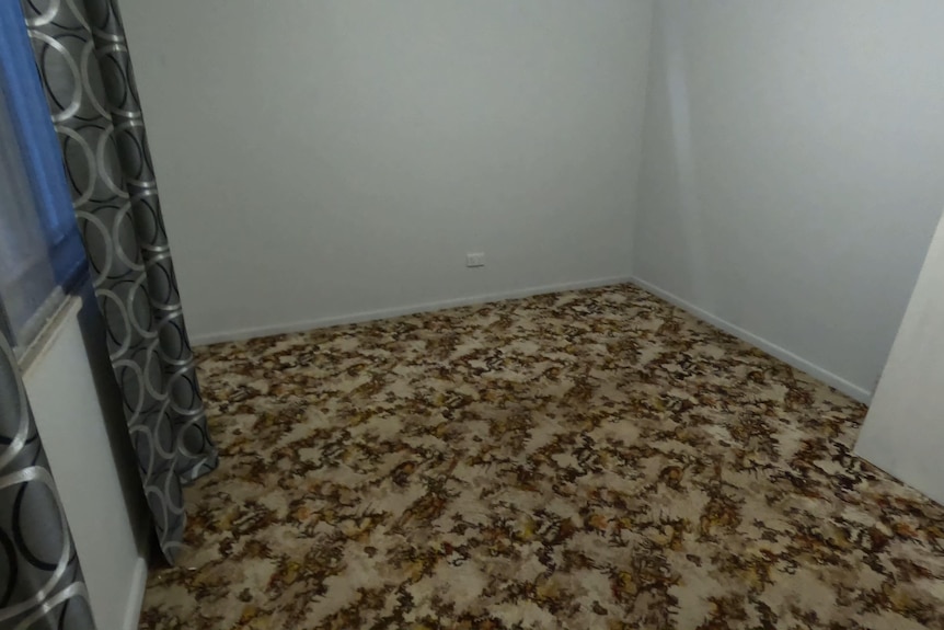 A wide shot of a brown shag carpet in an empty room