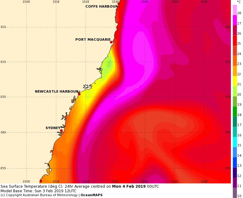 Why is the ocean so cold, when summer temperatures are soaring? ABC News