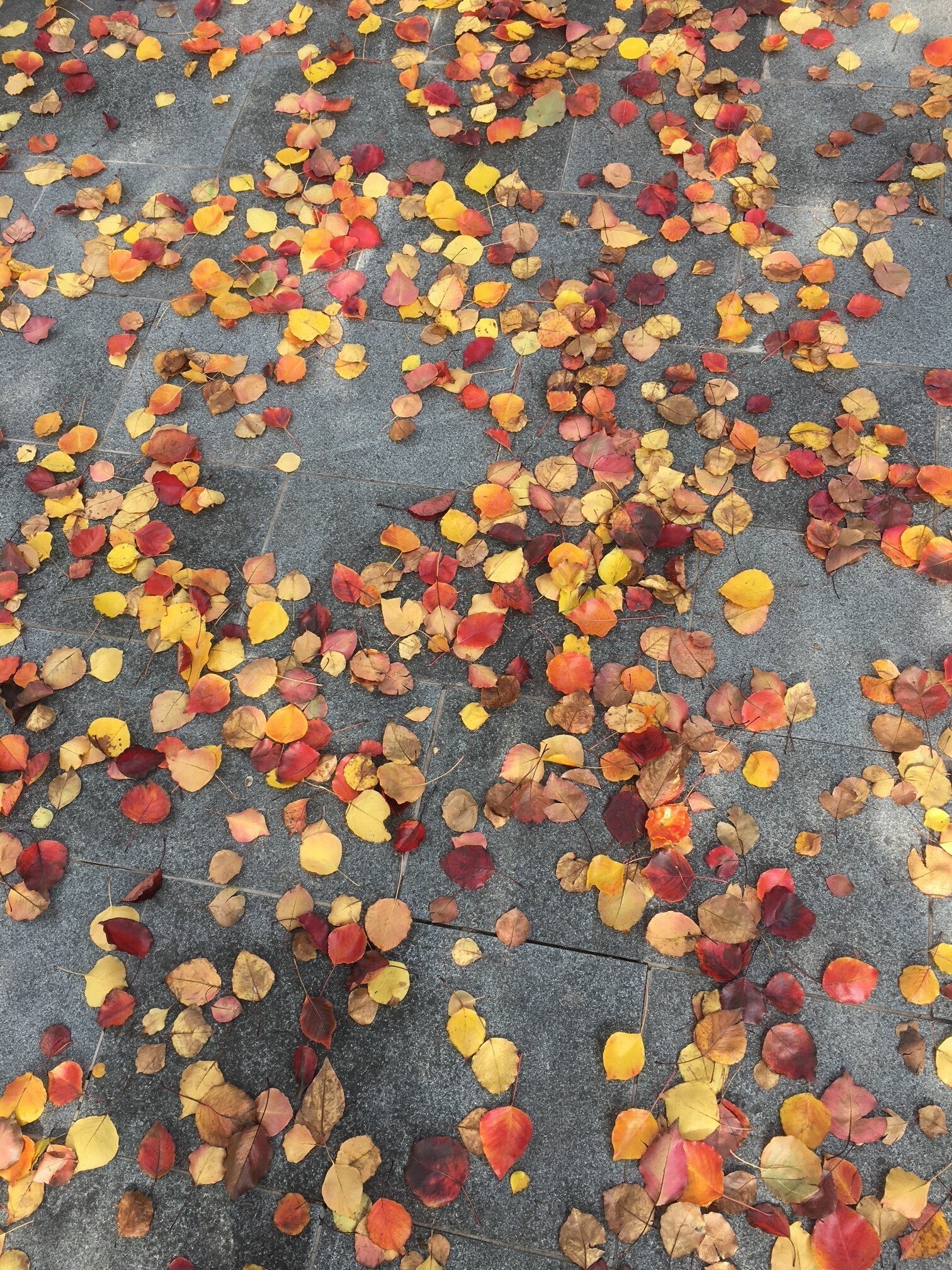 A walk in a mysterious place