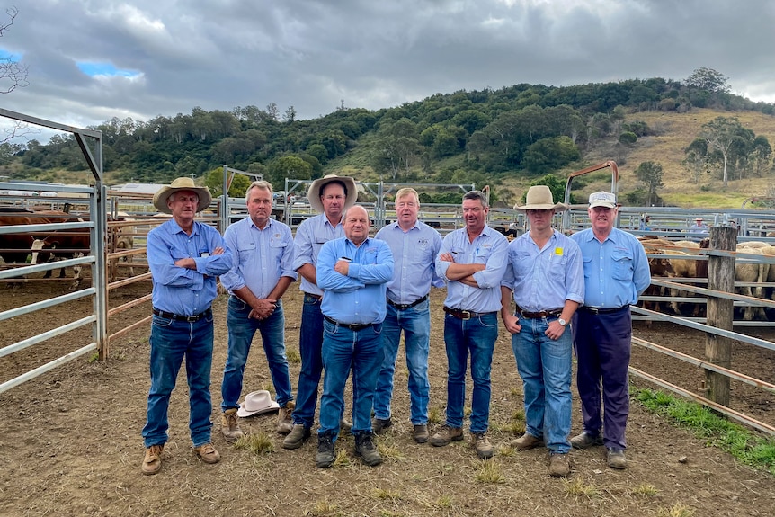 Eight men in blue shirts and jeans stand in cattle yards, some wear caps, or hats, arms folded in front.