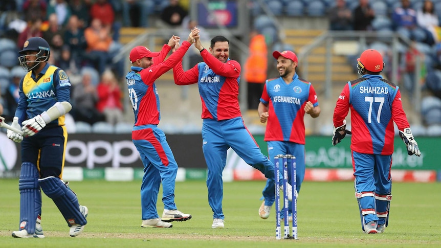 A smiling bowler clasps hands with his teammate in celebration after taking a wicket.