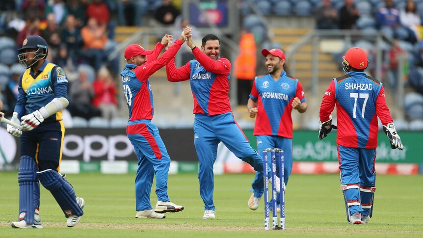A smiling bowler clasps hands with his teammate in celebration after taking a wicket.
