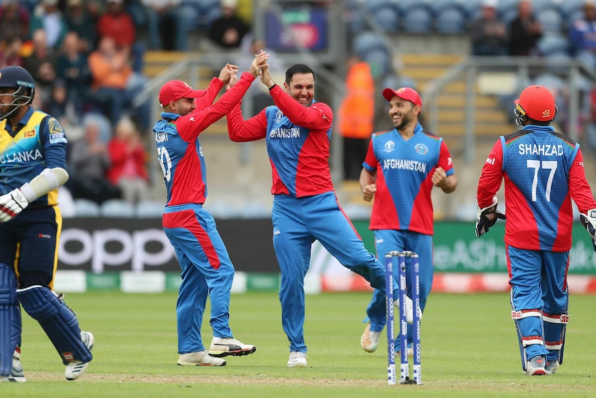 A smiling bowler clasps hands with his teammate in celebration after taking a wicket.