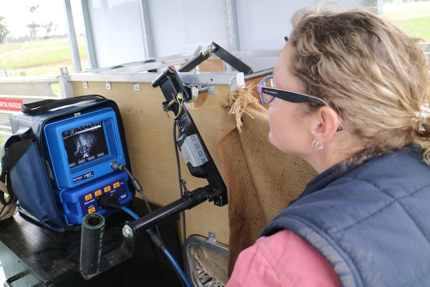 A woman looks at a small monitor inside a portable trailer