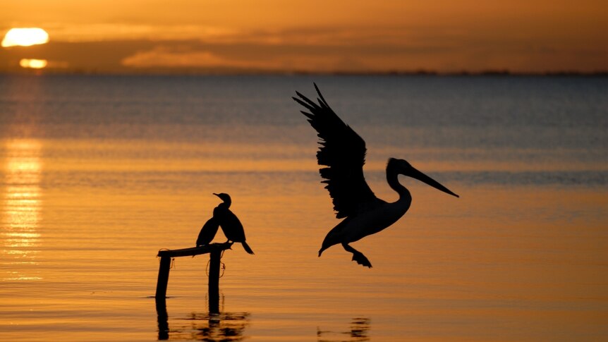 Water study of Lake Albert will take a year