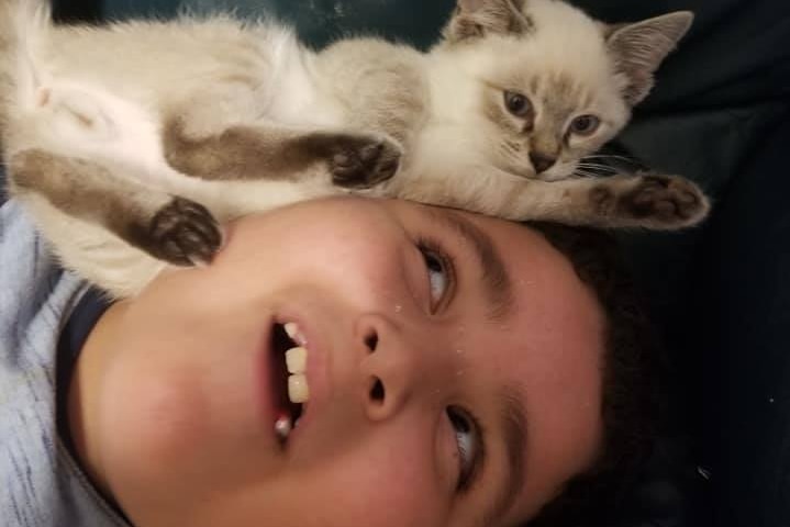 A little boy looking at a kitten resting next to his face