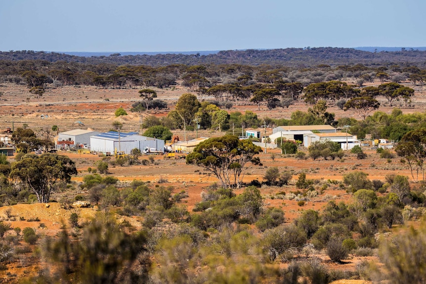 Bushland near a country town in Western Australia.