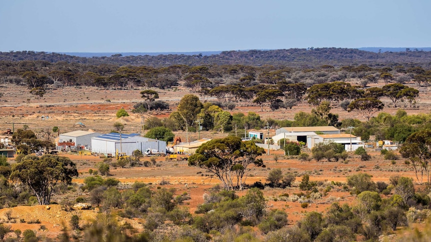 Bushland near a country town in Western Australia.