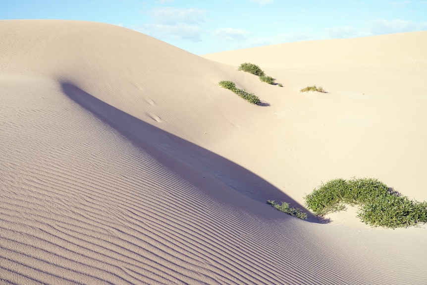 Sand dunes