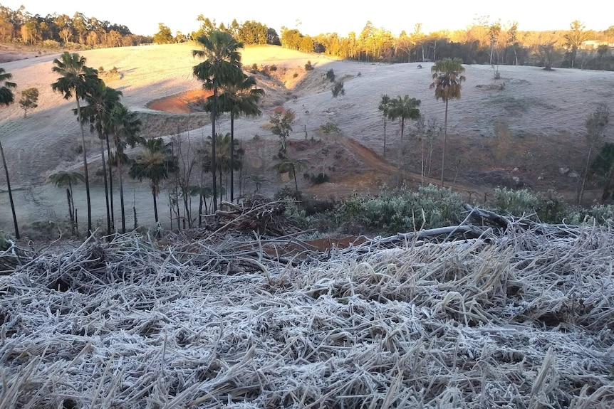 Rolling hills with frost covered in frost.