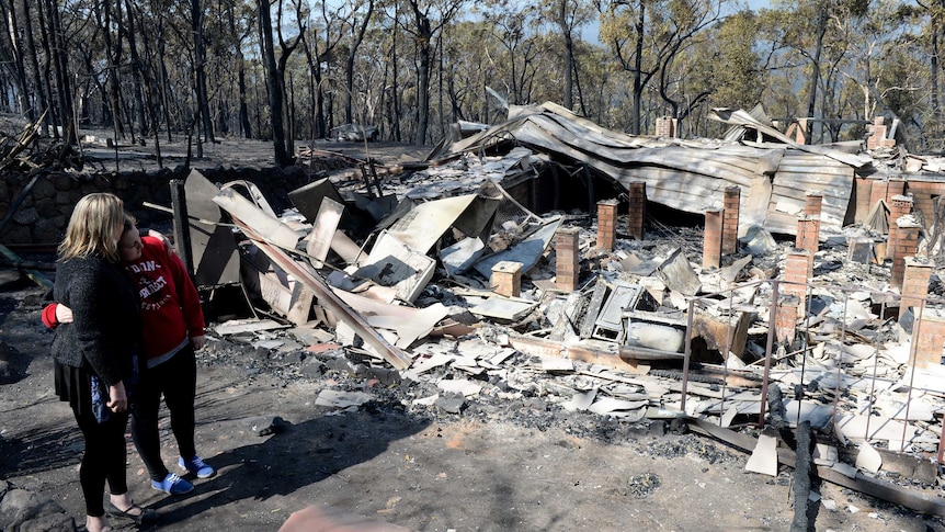 The Blue Mountains town of Winmalee was devastated by fire last month.