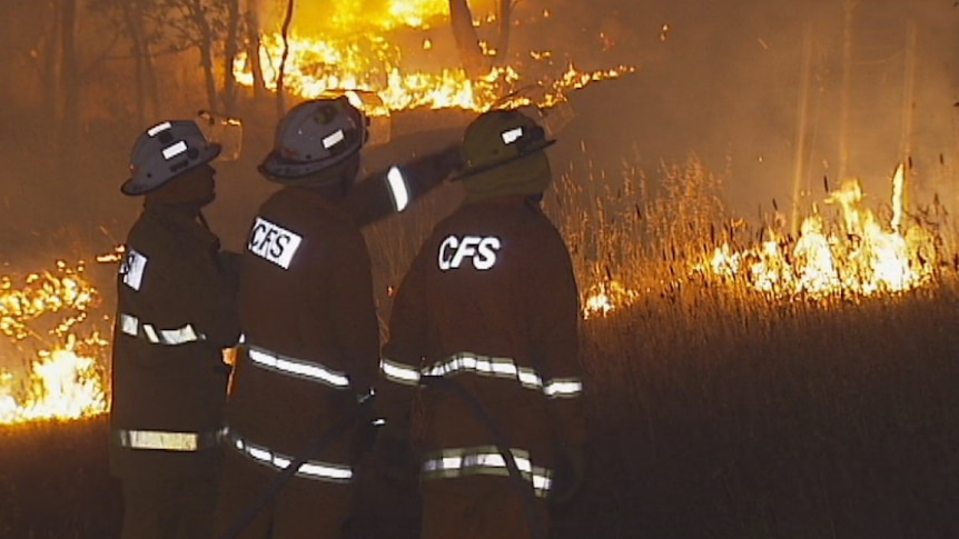 CFS firefighters