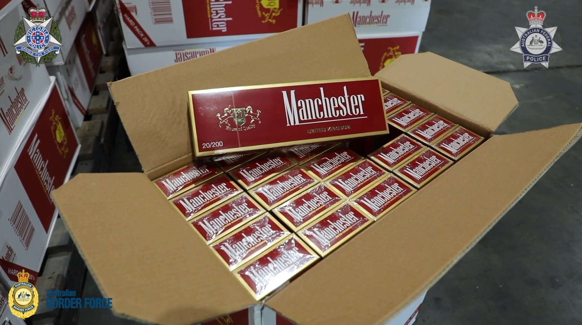 how is tobacco harmful The Many Dangers of Tobacco Use