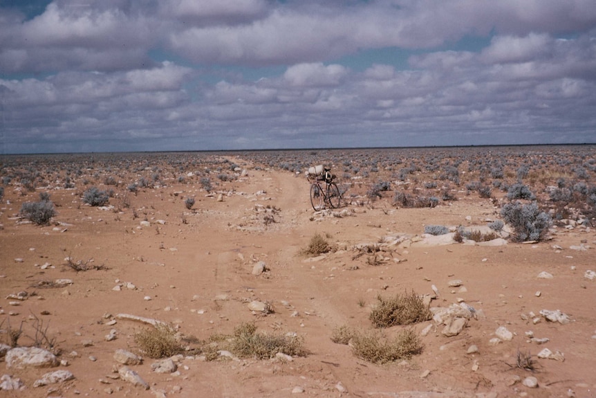 A bicycle in the desert