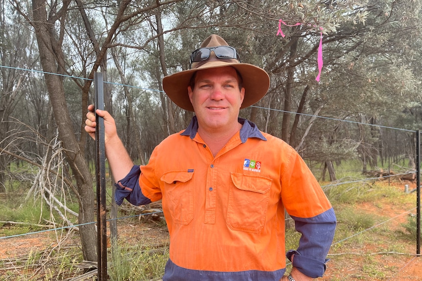A man in an orange shirt stands in the bush with one hand on a fence