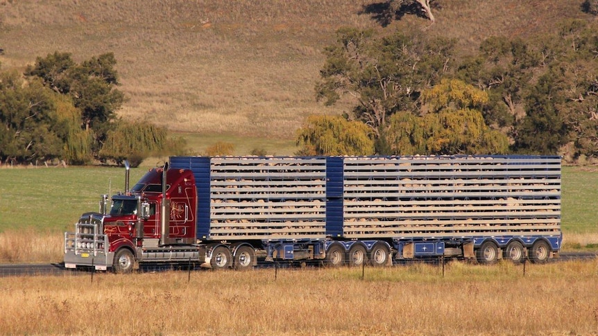 Improved fatigue management plan for rural transporters