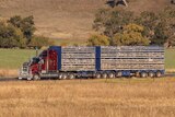 Improved fatigue management plan for rural transporters