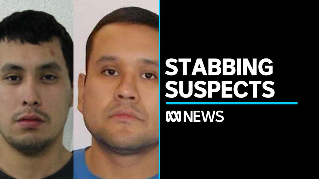 Suspects at large after Canadian stabbing spree leaves ten dead - ABC News