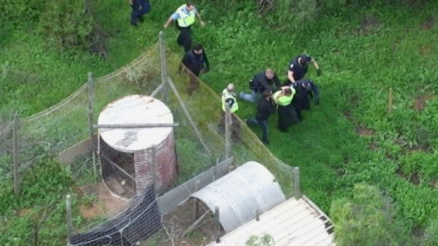 An aerial shot of WA Police officers escorting an escaped prisoner away from bushes outside a house.