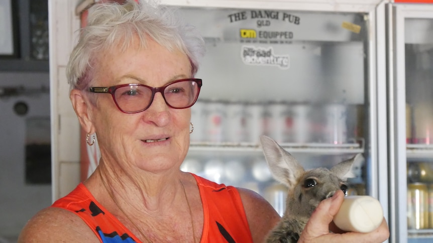 Woman in red dress bottle feeding a joey kangaroo 