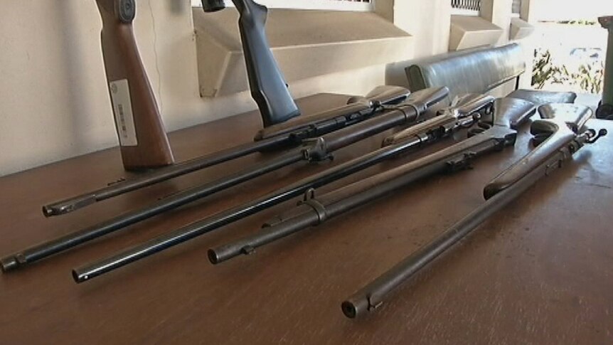 Police display guns seized in blitz in WA's Great Southern