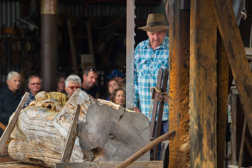 Snow Morrison and tourists look on as very old vertical saw cuts through a log