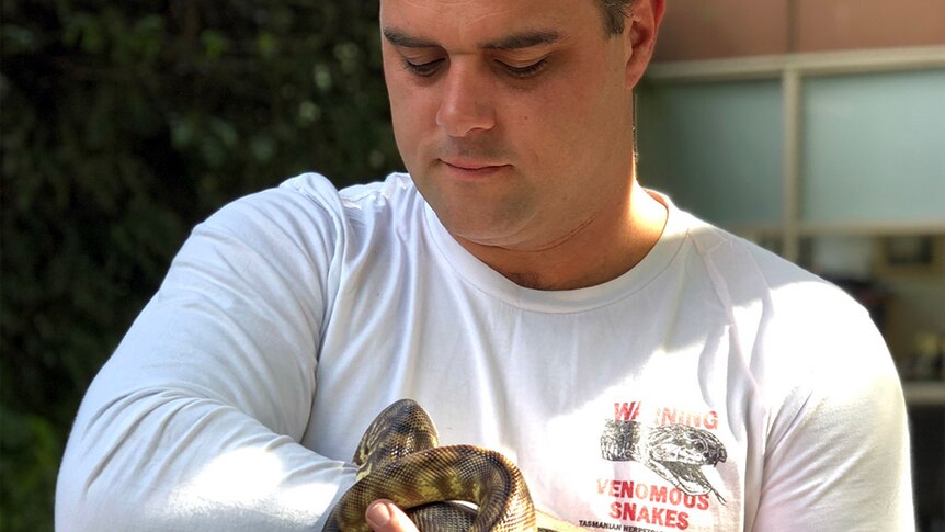 Reptile handler Chris Daly holds a snake