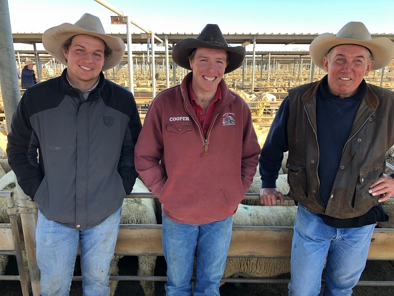 Three men from the same family stand smiling at a lamb saleyard