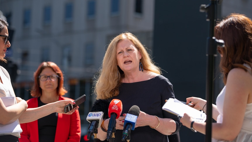 Helen Matthews speaks at a press conference, journalists hold microphones  