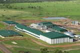 An aerial picture of AACo's Livingstone Beef abattoir outside of Darwin.