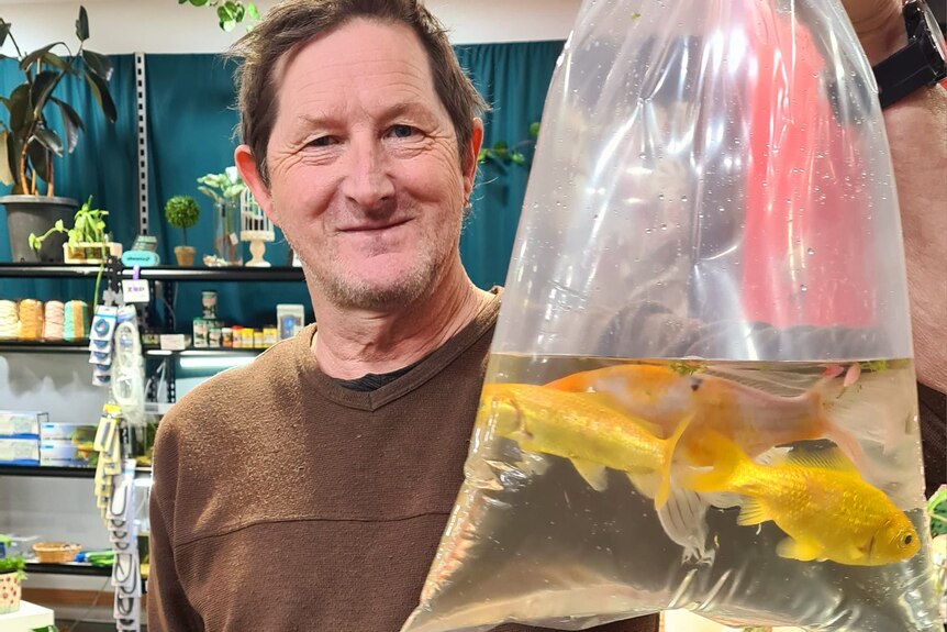 A man holding three gold fish in a bag