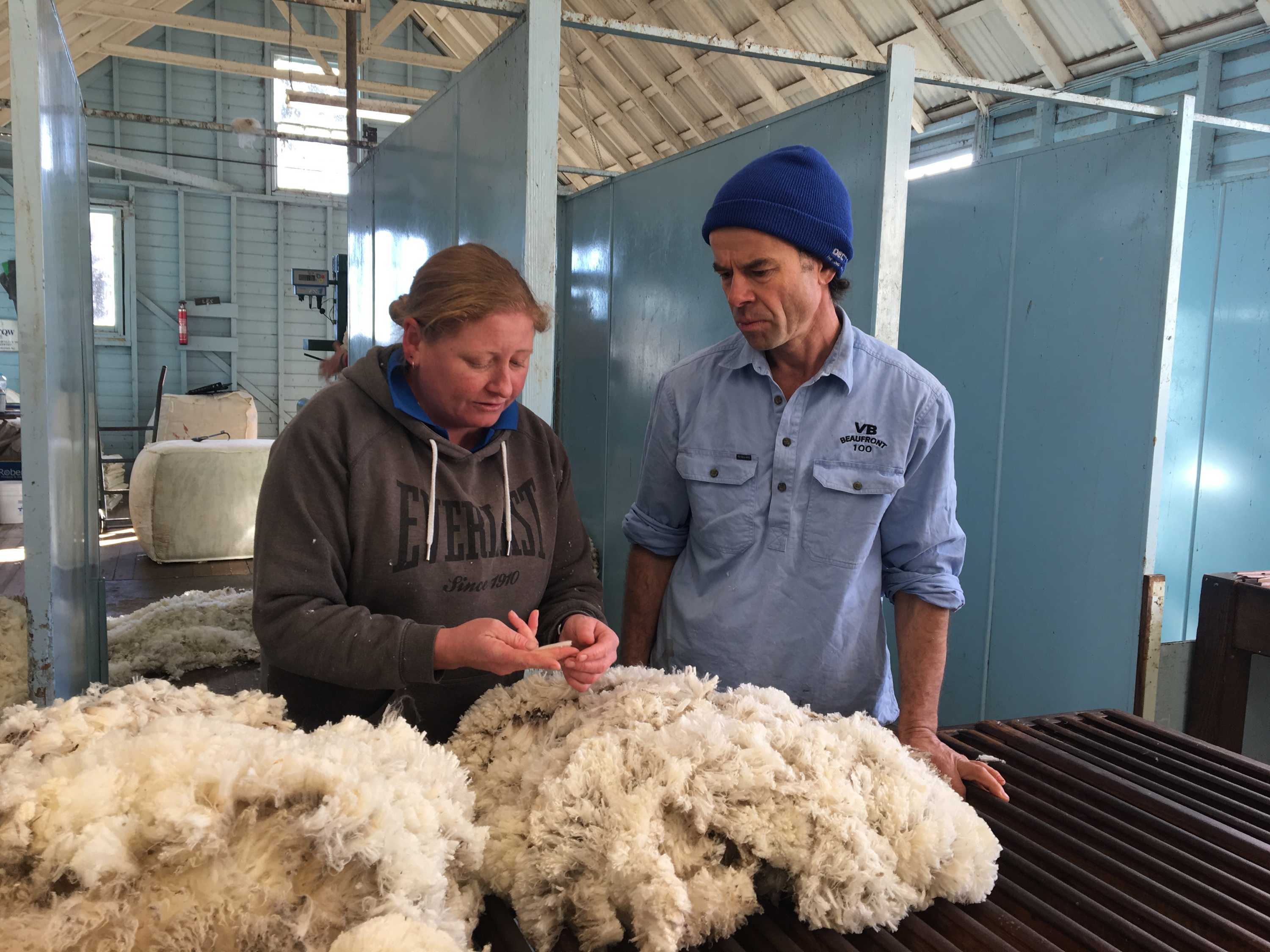 Tasmanian merino farmers take the 'story' of Australian wool to spin