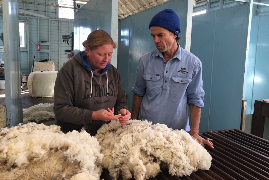 A female wool classer and a male farmer look down at a table of wool while having a conversation.