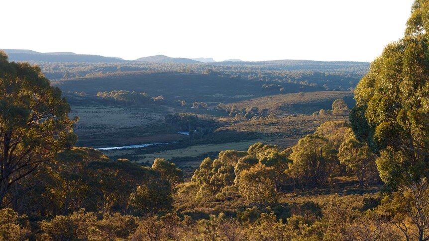 The land includes evidence of past tracks used by Aborigines.