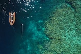 An aerial shot of an inflatable boat over a coral reef. 