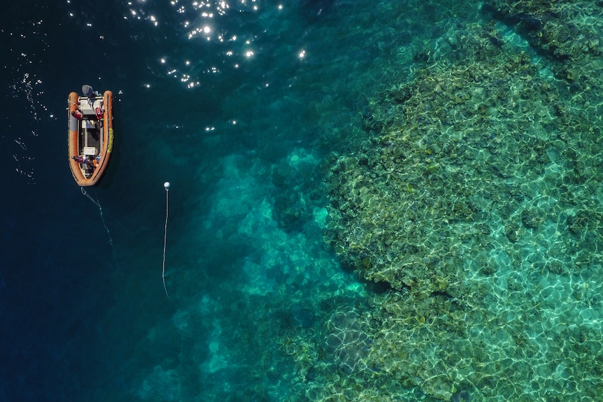 An aerial shot of an inflatable boat over a coral reef. 