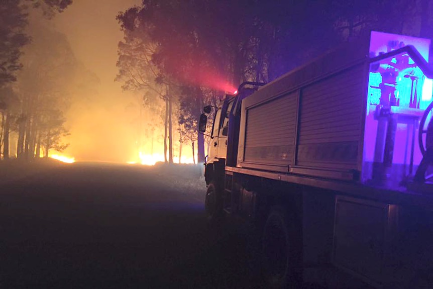 A firetruck near flames in trees at night.