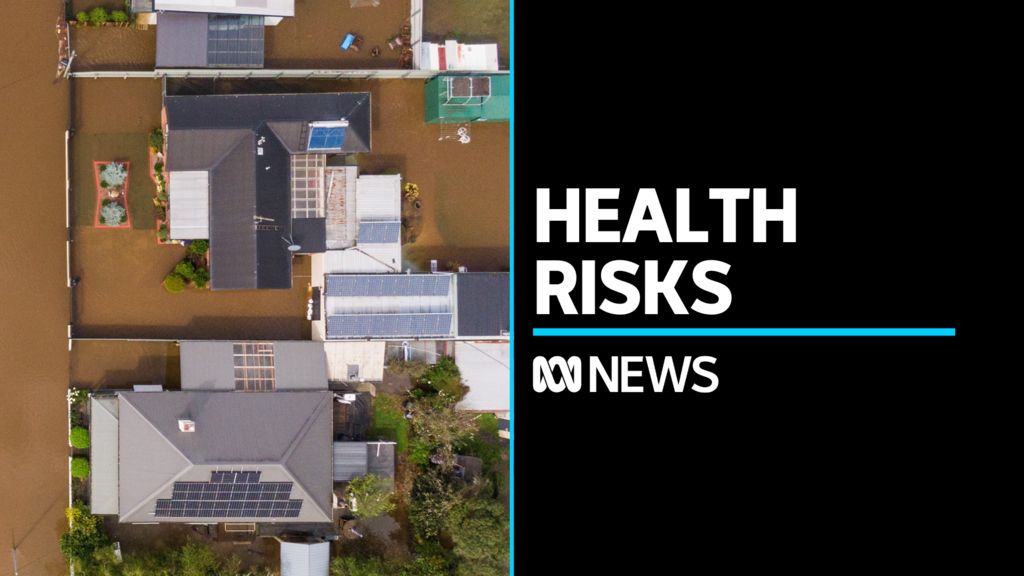 Stagnant water in flooded towns causes health risks for residents - ABC ...