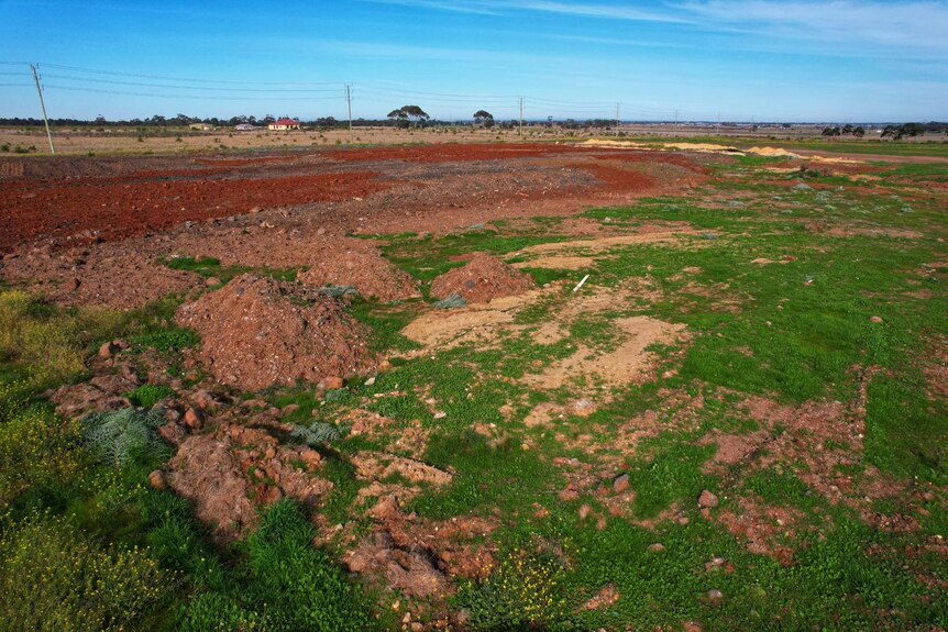 A side view of mounds of soil built up across a paddock