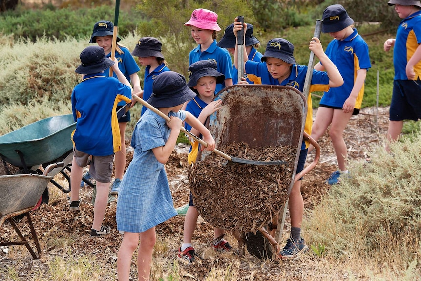 A young student rakes mulch from a wheelbarrow, held by another student, as others work in the background at a wetland.