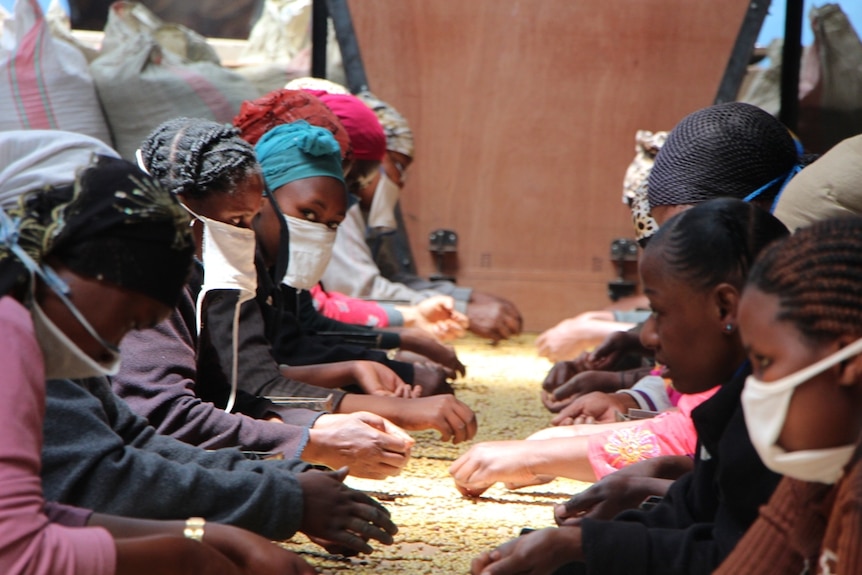 Women sorting through green beans in a warehouse