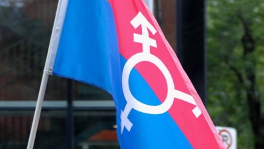 Trans flag