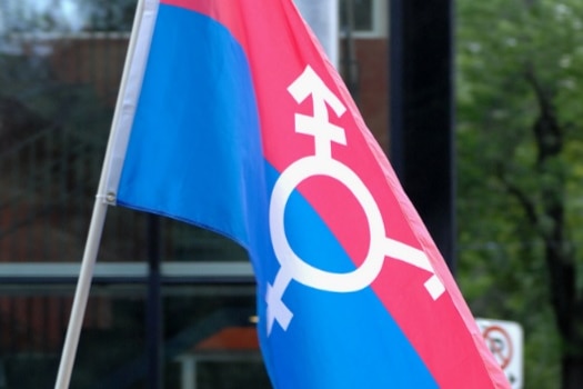 Trans flag