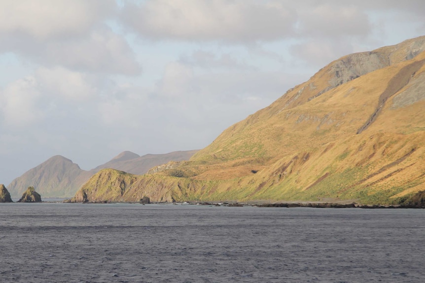 The expedition members will have about a week out in the field on Macquarie Island before heading back to Hobart.